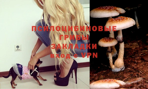синтетический гашиш Абдулино
