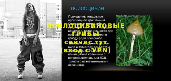 ALPHA PVP Алексин