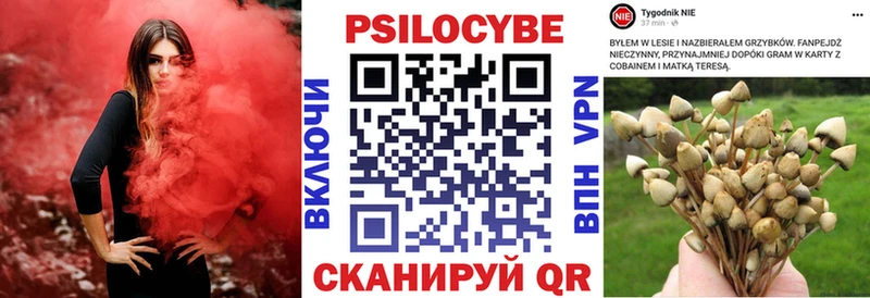 Псилоцибиновые грибы MAGIC MUSHROOMS  MEGA рабочий сайт  Порхов  где найти наркотики 