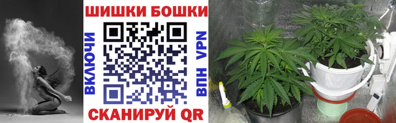 Каннабис ГИДРОПОН где купить Порхов